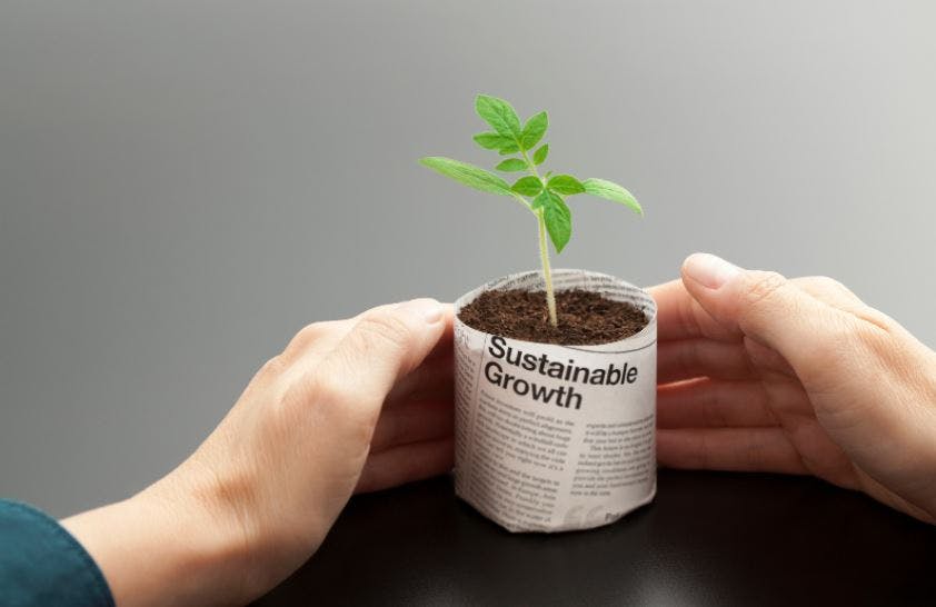 Stock image, sustainable growth