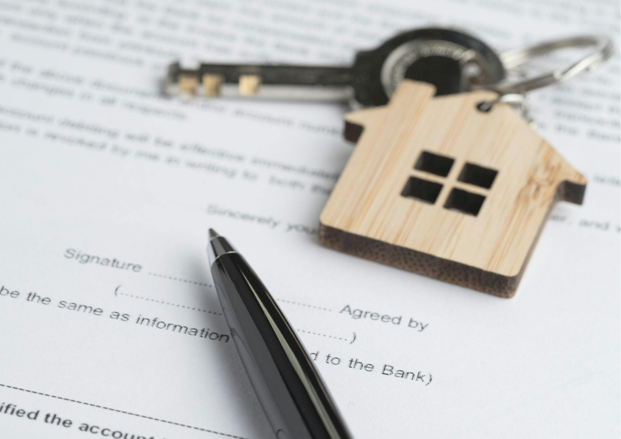 Stock image Stock image