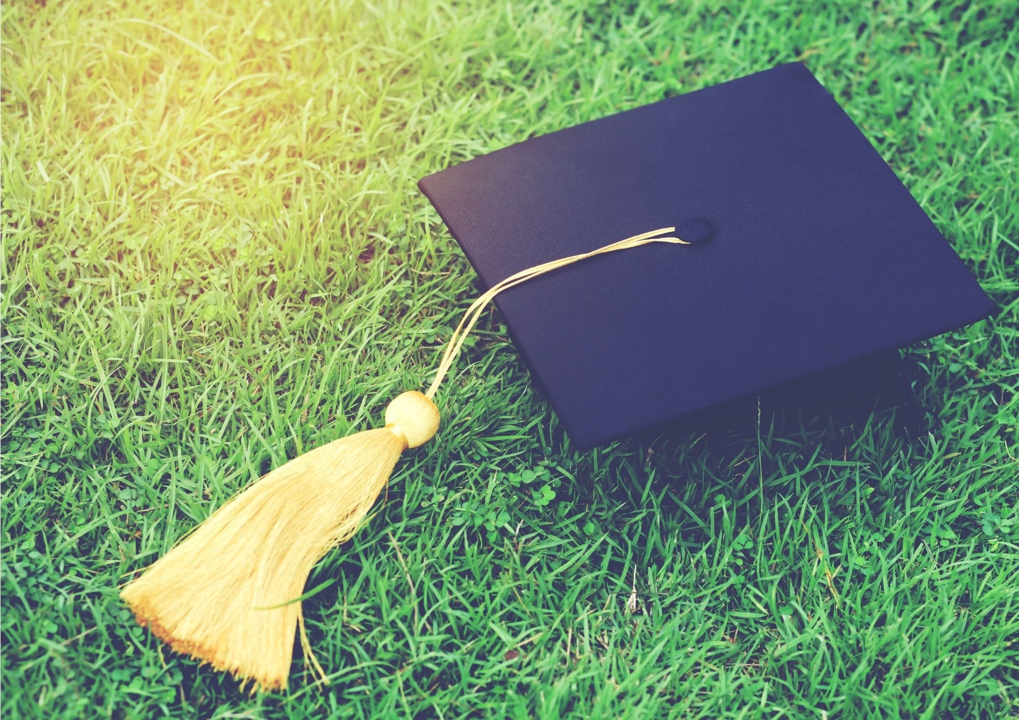 Charities and schools