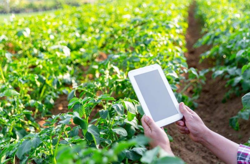Farmer in a field with technology
