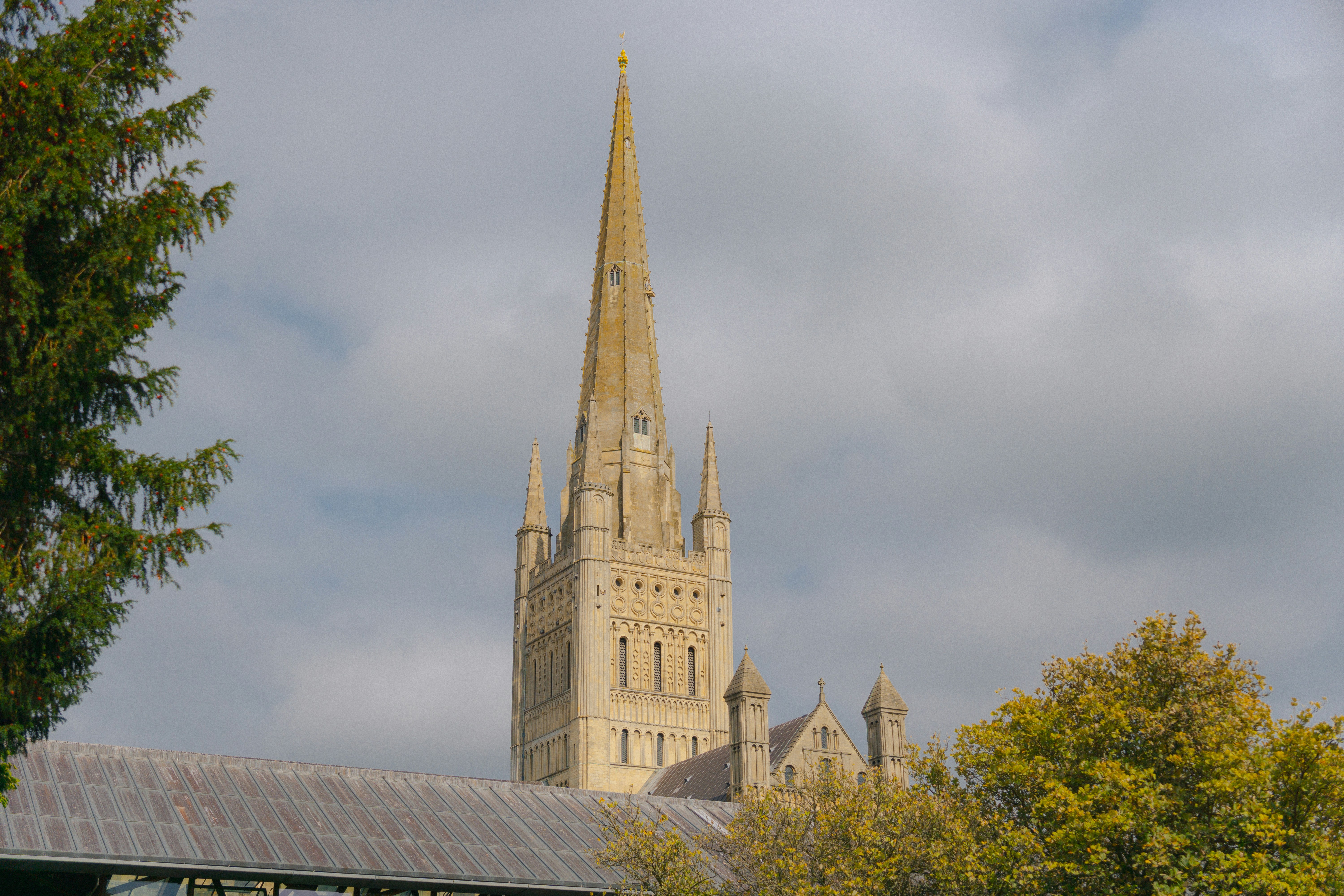 Norfolk Limited report 2025