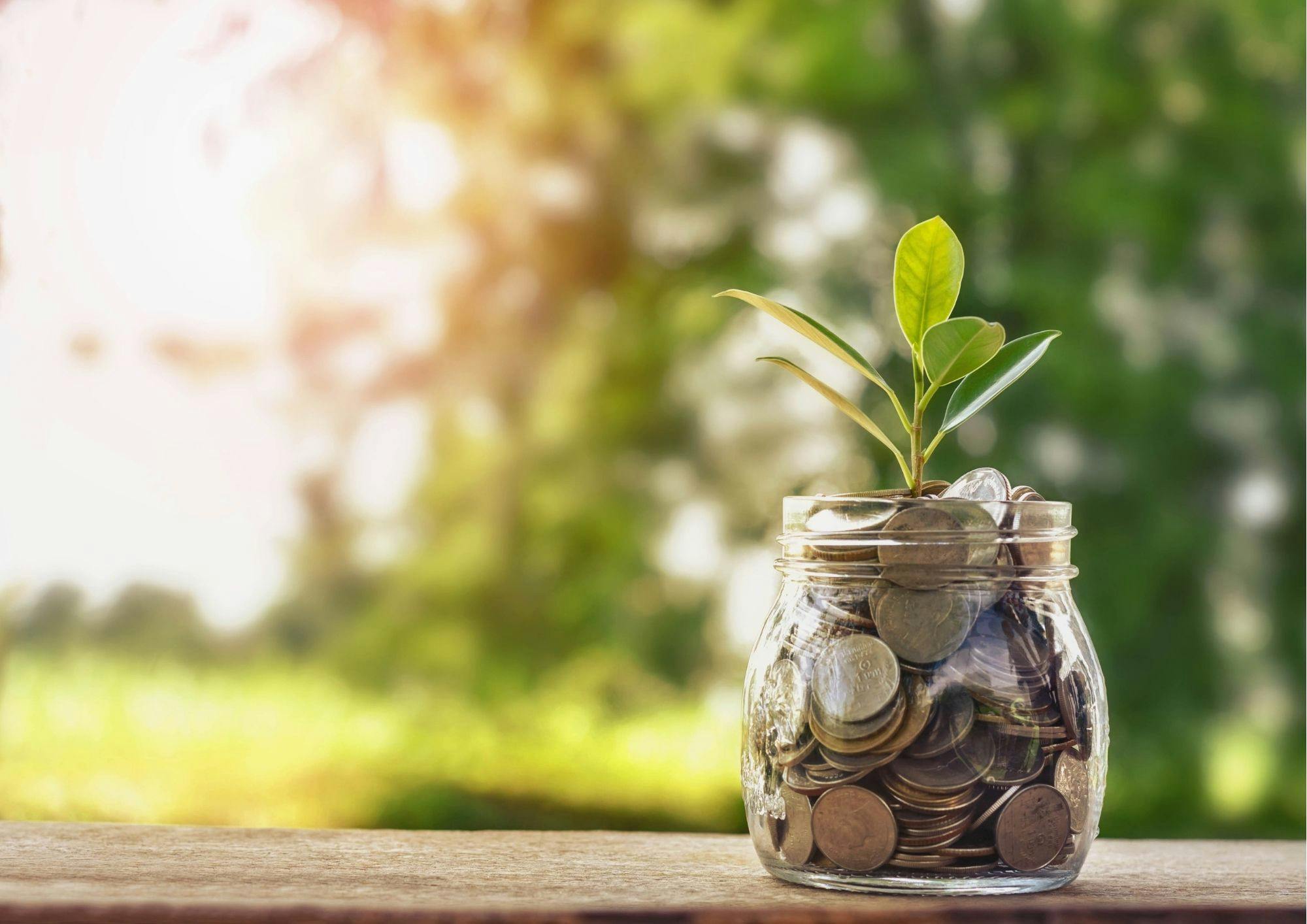 Coins in a Jar with a plant